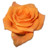 Rose orange 2